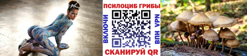 Псилоцибиновые грибы GOLDEN TEACHER  как найти   Кувшиново 
