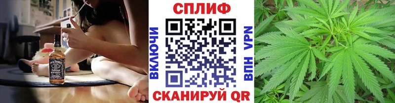 продажа наркотиков  Кувшиново  Марихуана VHQ 